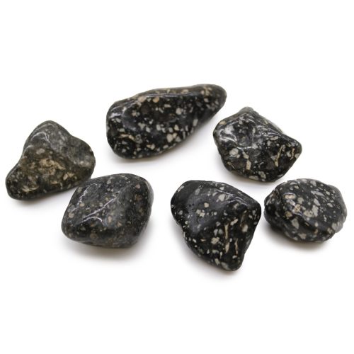 Guineea Mare rotunjită, 30-50 mm, 6 buc