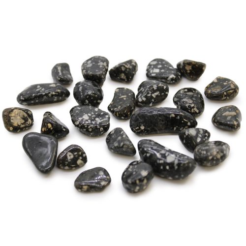 Păsări de Guineea rotunjită, 10-30 mm, 24 buc